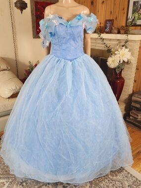Enchanting Cinderella Butterfly Ball Gown